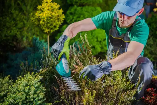 landscaping services Flushing